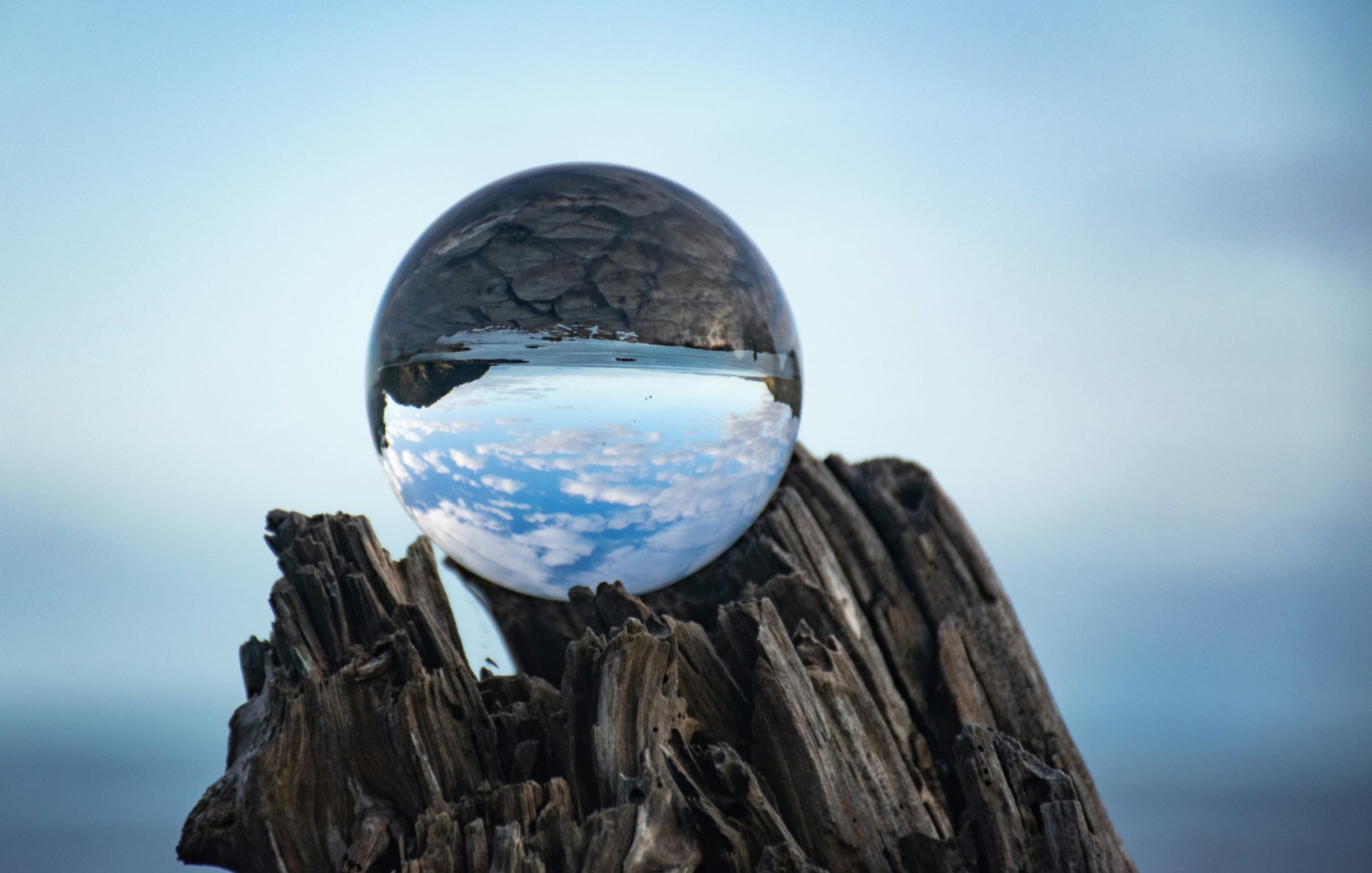Teaching Ourselves Forward: How Reflection Fuels Systemic Growth